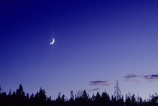 Cascadia moon photo